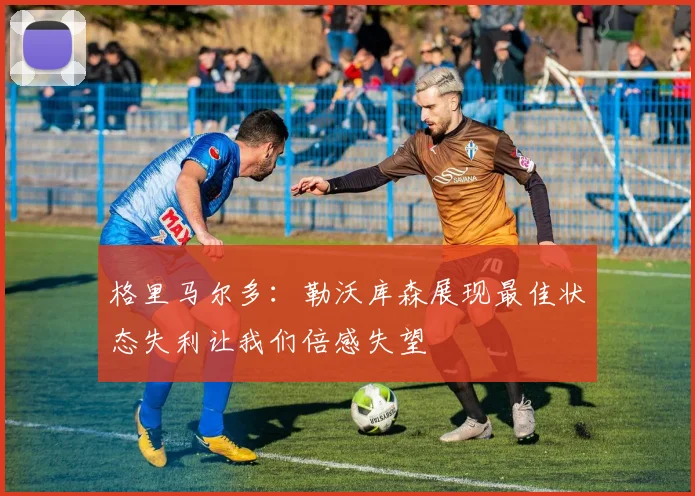 格里马尔多：勒沃库森展现最佳状态失利让我们倍感失望