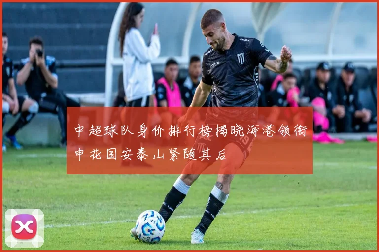 中超球队身价排行榜揭晓海港领衔申花国安泰山紧随其后